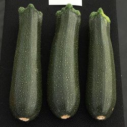 Section A: VEGETABLE CLASSES - 1 Three courgettes without  flowers