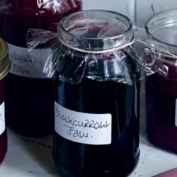 Section E: DOMESTIC CLASSES -14 A Jar of Jam  (any fruit )